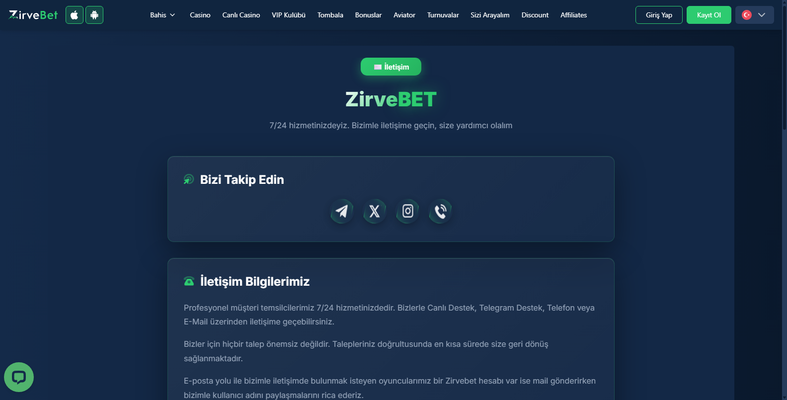 zirvebet 113010 42